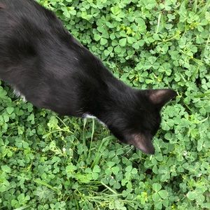 Meet your Posher, Camille